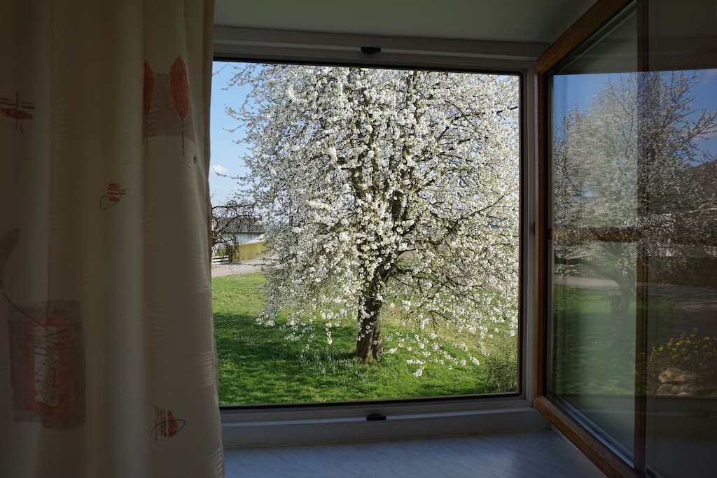 Blick aus dem Wohnzimmer