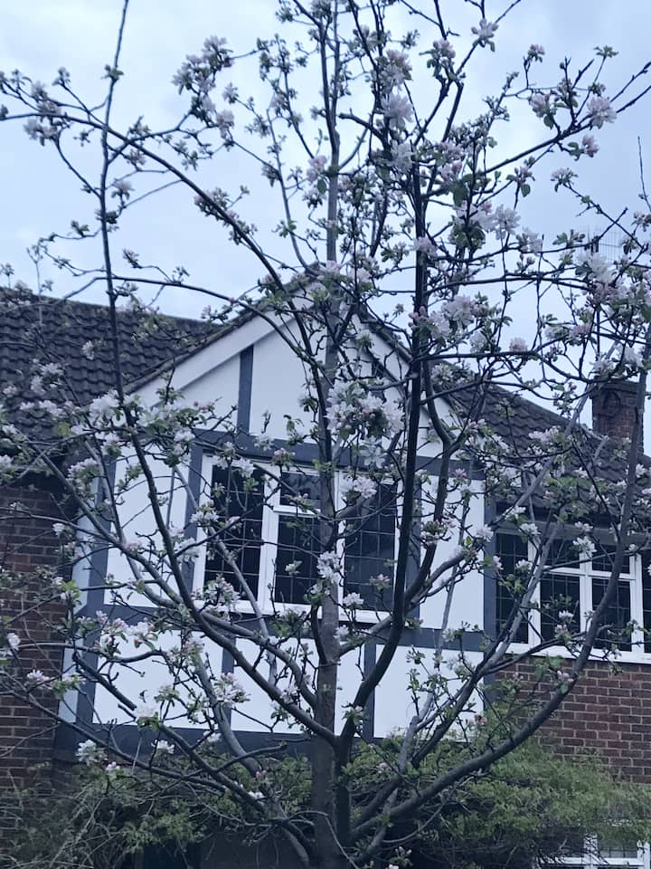 Wimbledon Vacation Rentals & Homes Wimbledon, Wimbledon, United