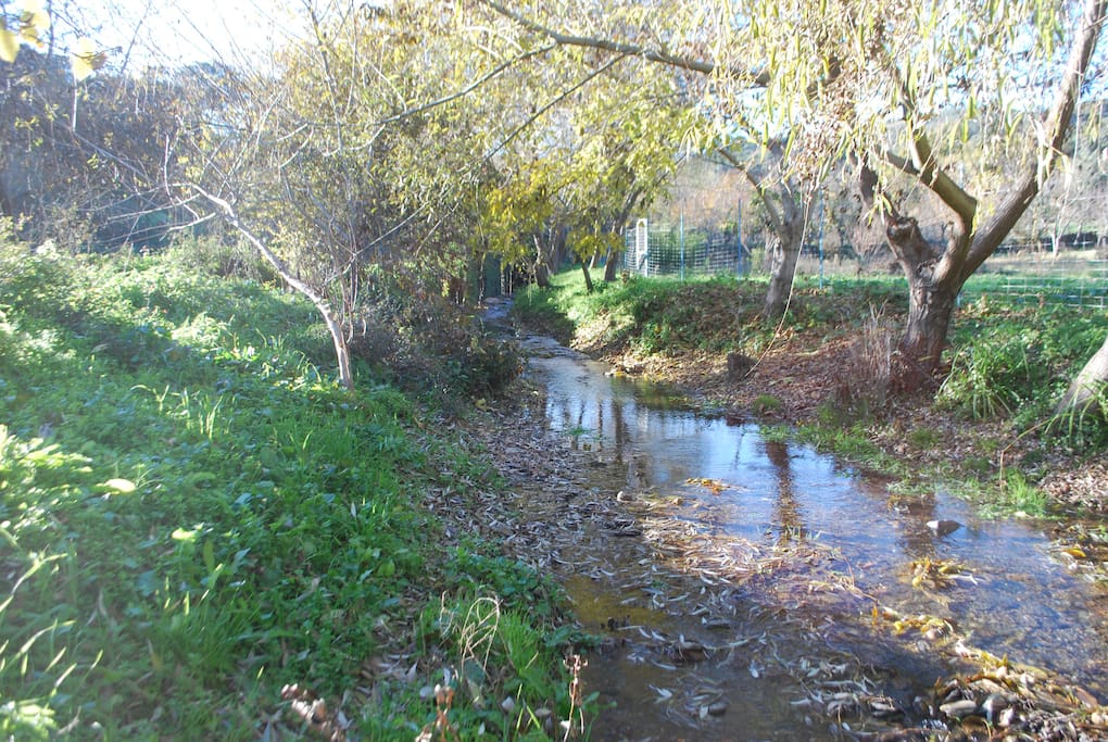 El arroyo Fuente del Rey que pasa por la entrada de la finca