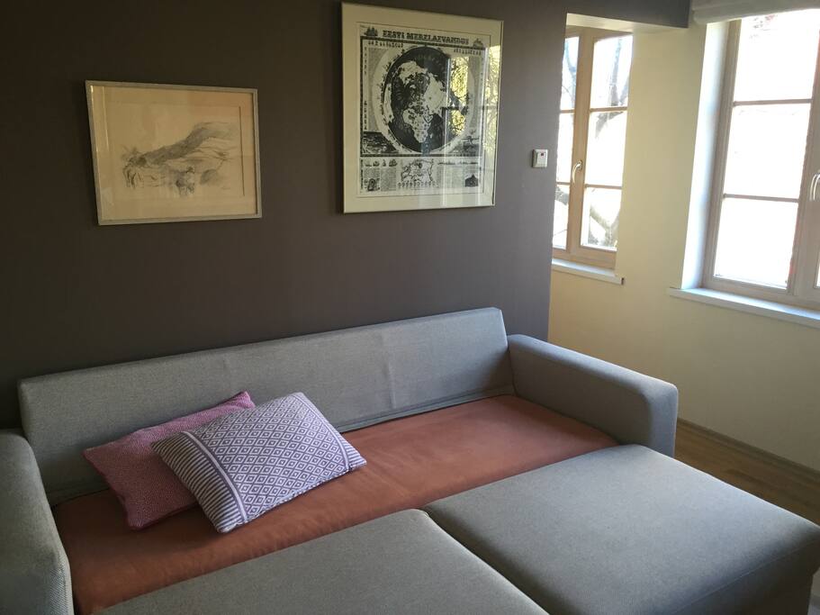 Living room sofa-bed in open position.