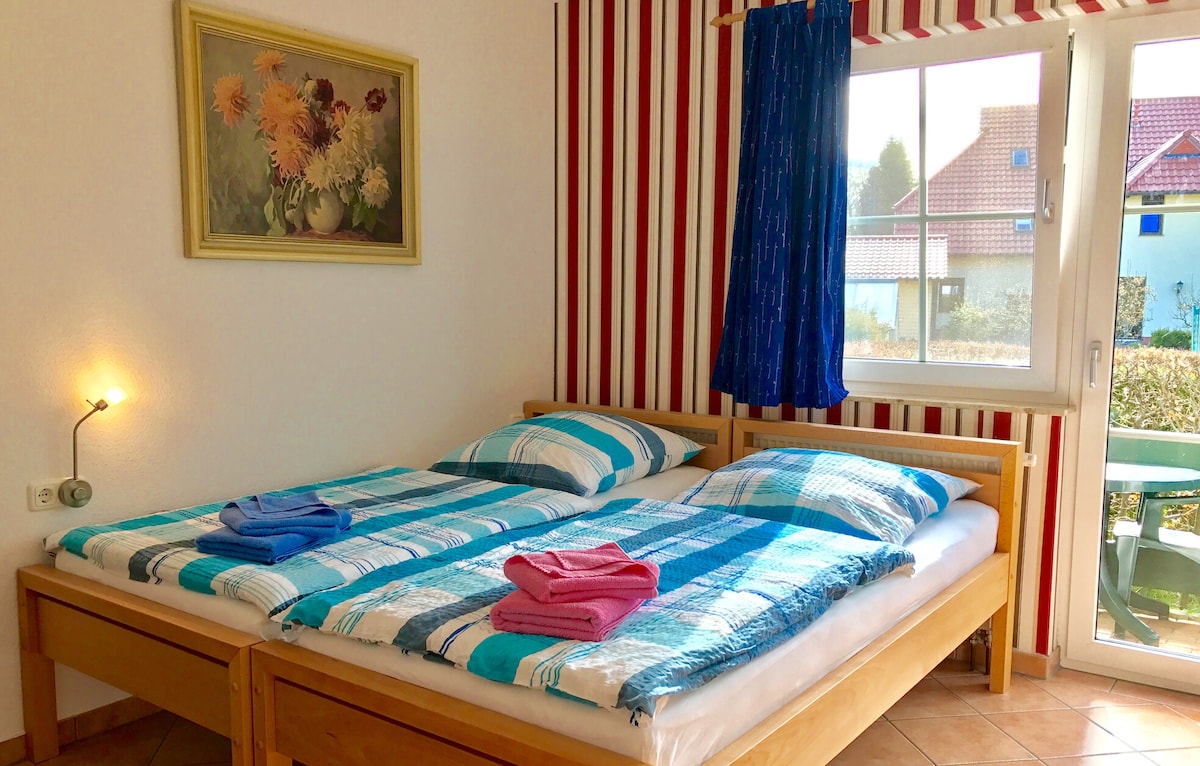 A brightly lit bedroom features two spacious beds with checkered blue bedding. Colorful towels in pink and blue are neatly arranged on the beds. A framed floral painting hangs above one bed, while a window offers a view of the surrounding garden.
