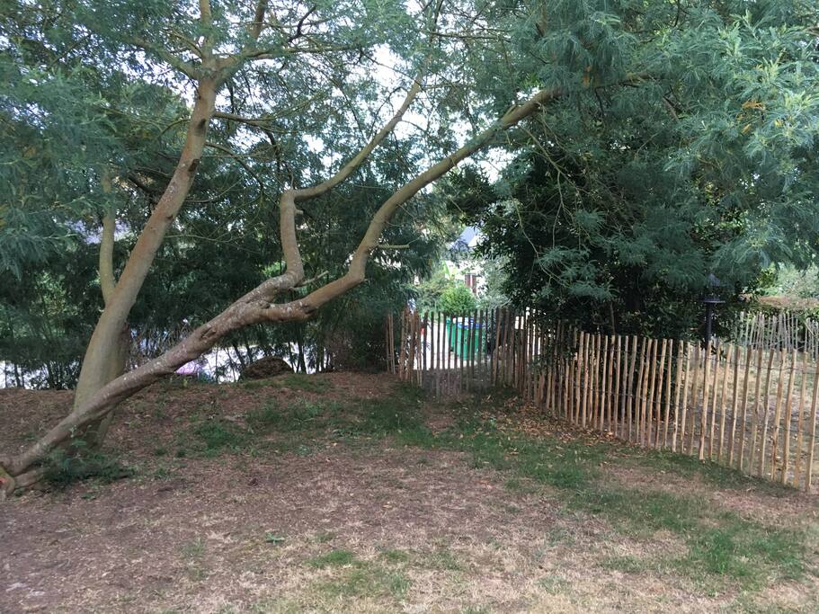 le jardin de 60m²