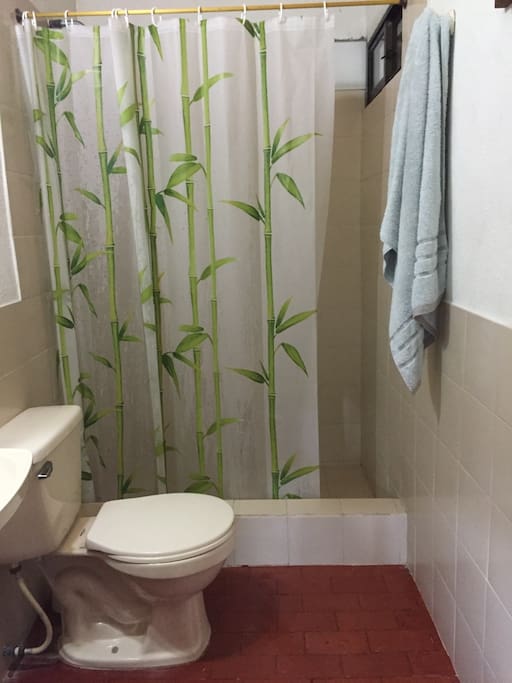 Toilet and shower