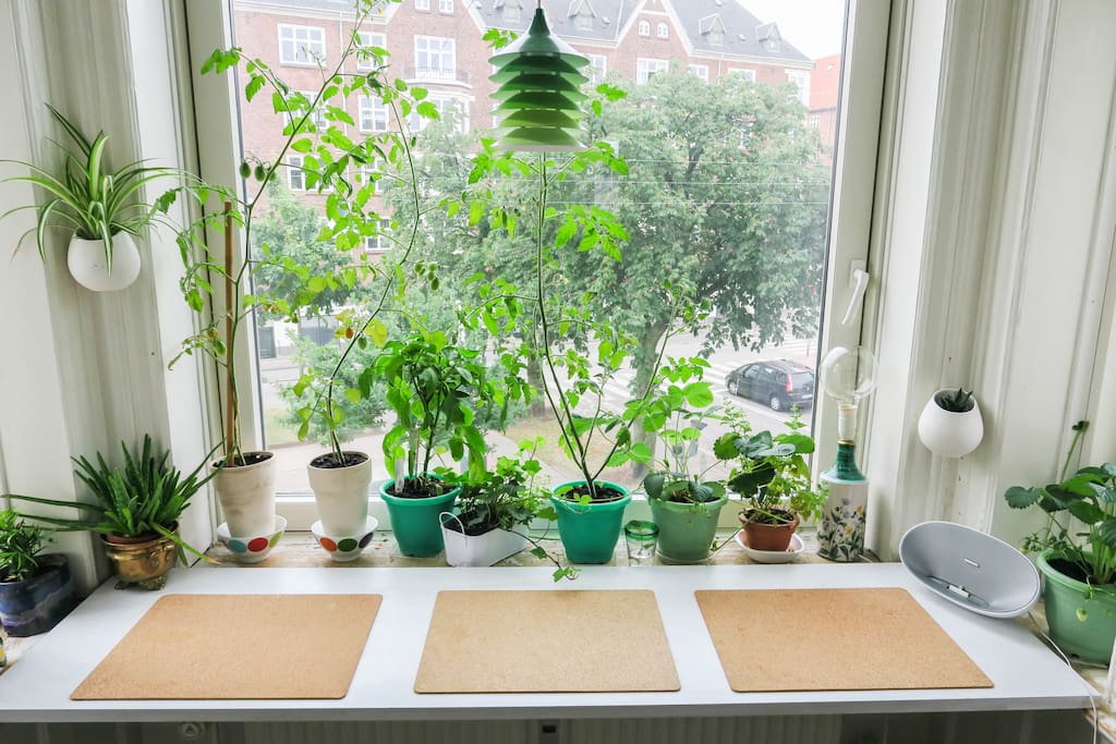 Window table with a view.
