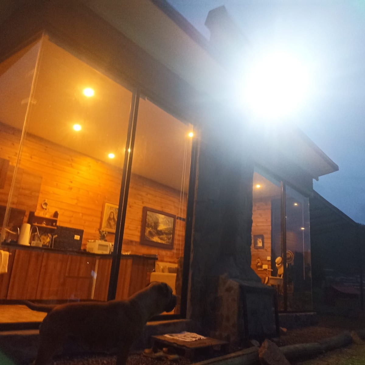 The image captures the exterior of a rustic tiny house, illuminated by a bright light. Large windows showcase the warm interior, where wooden walls and cozy furnishings are visible. A dog stands in the foreground, adding a welcoming presence to the serene atmosphere.