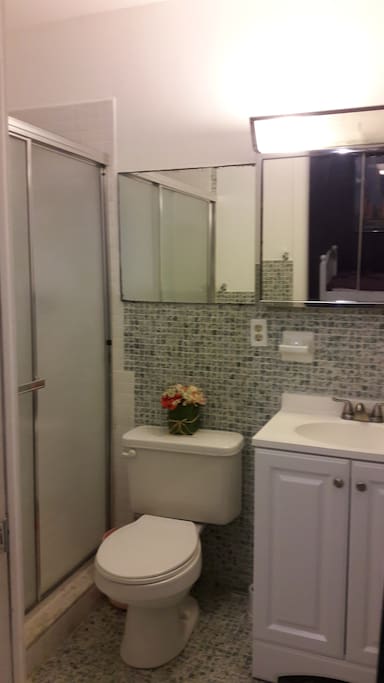 This is the bathroom, I apologize for the quality I have to update the photos. Bathroom is very clean, also has space to store your things.