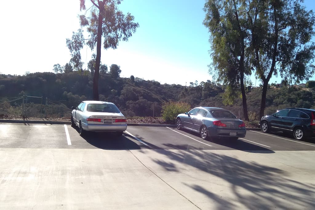 Parking spot in front of the house.