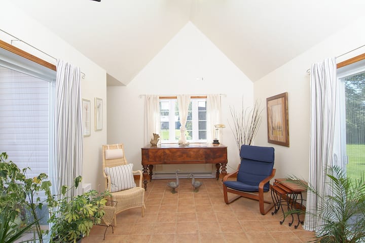 Salle de séjour avec divan-lit