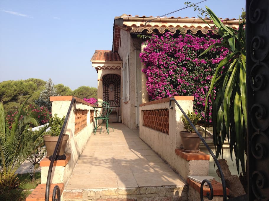 Terrace first floor