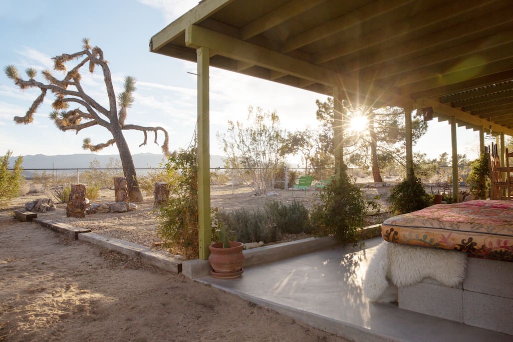 The desert light sparkles like nowhere else