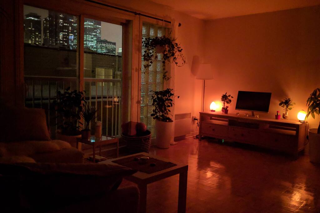 Quiet apartment boosts a beautiful view of downtown Montreal. There is a screen set up with cables to plug in your computer for a movie night in.
