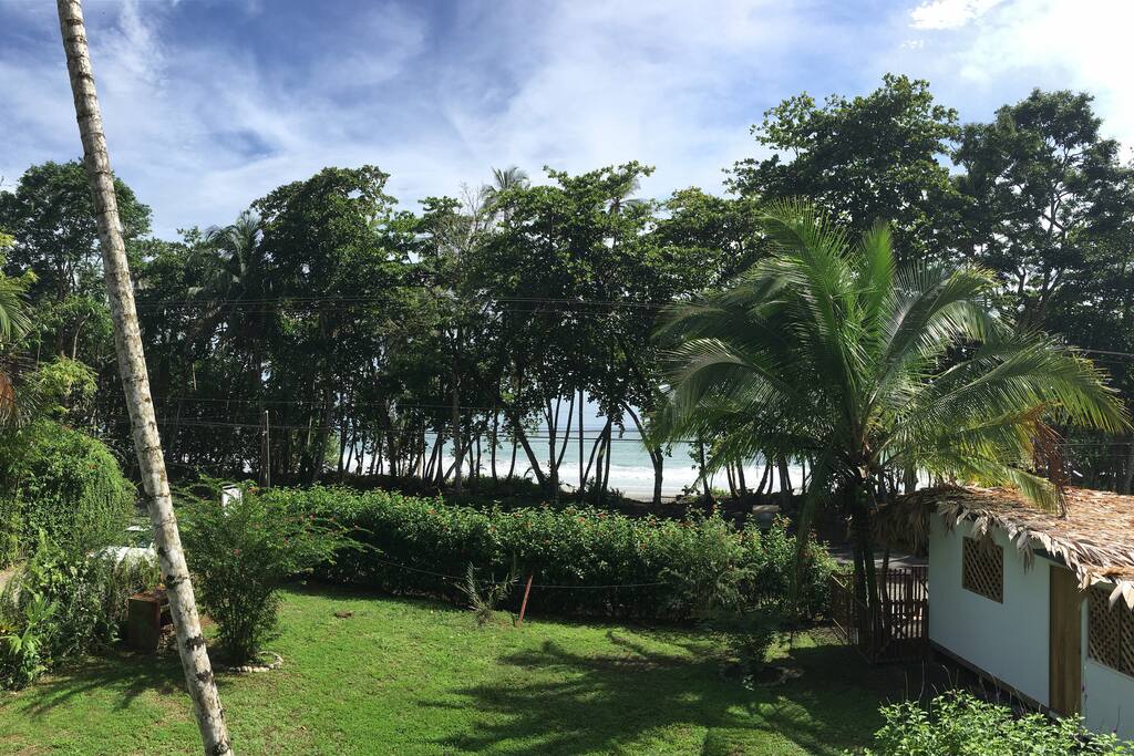 Ocean view!