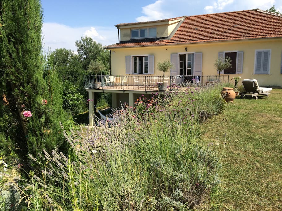 The house from the back