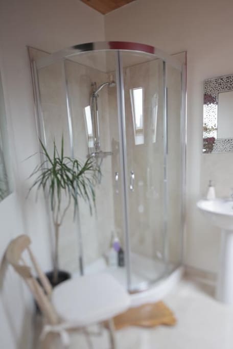 Ensuite Shower with Kingsize bedroom