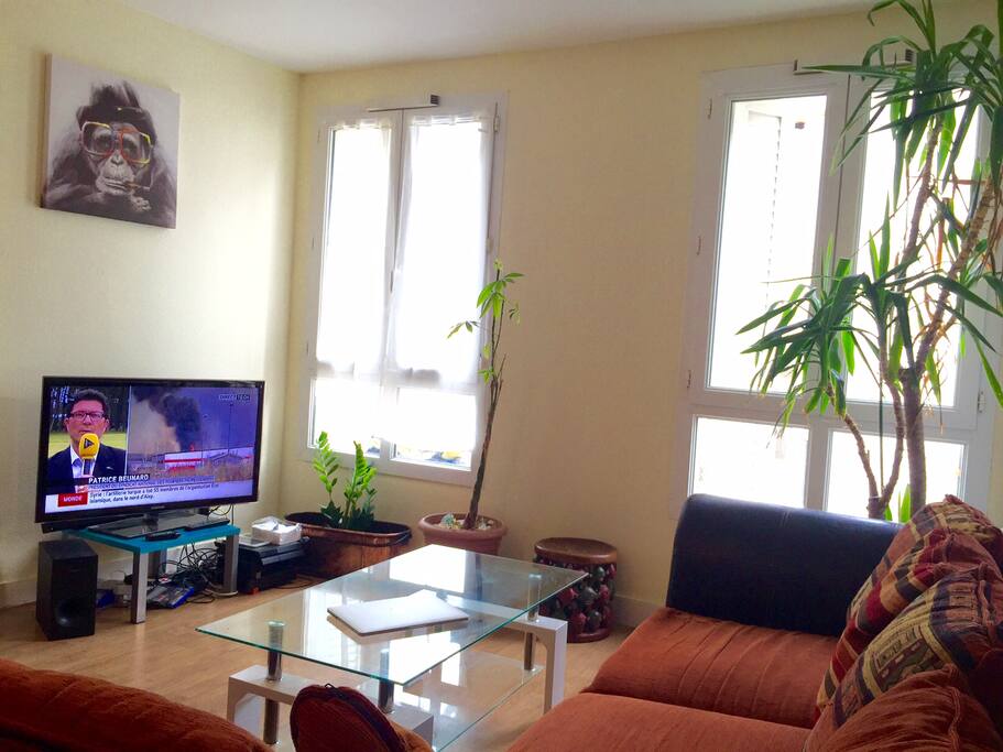 Salon, coin télé