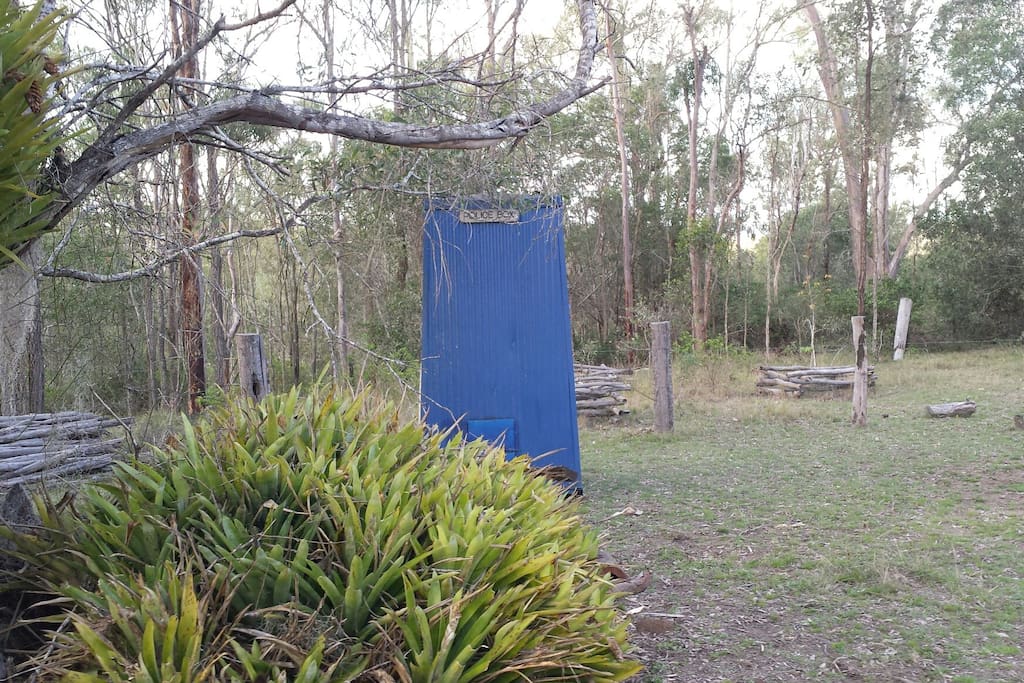 The Tardis... Police Box loo.. it's quite civilized !