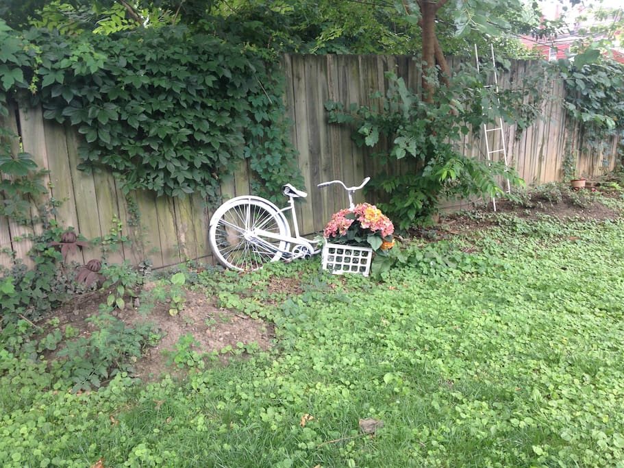 back yard decor