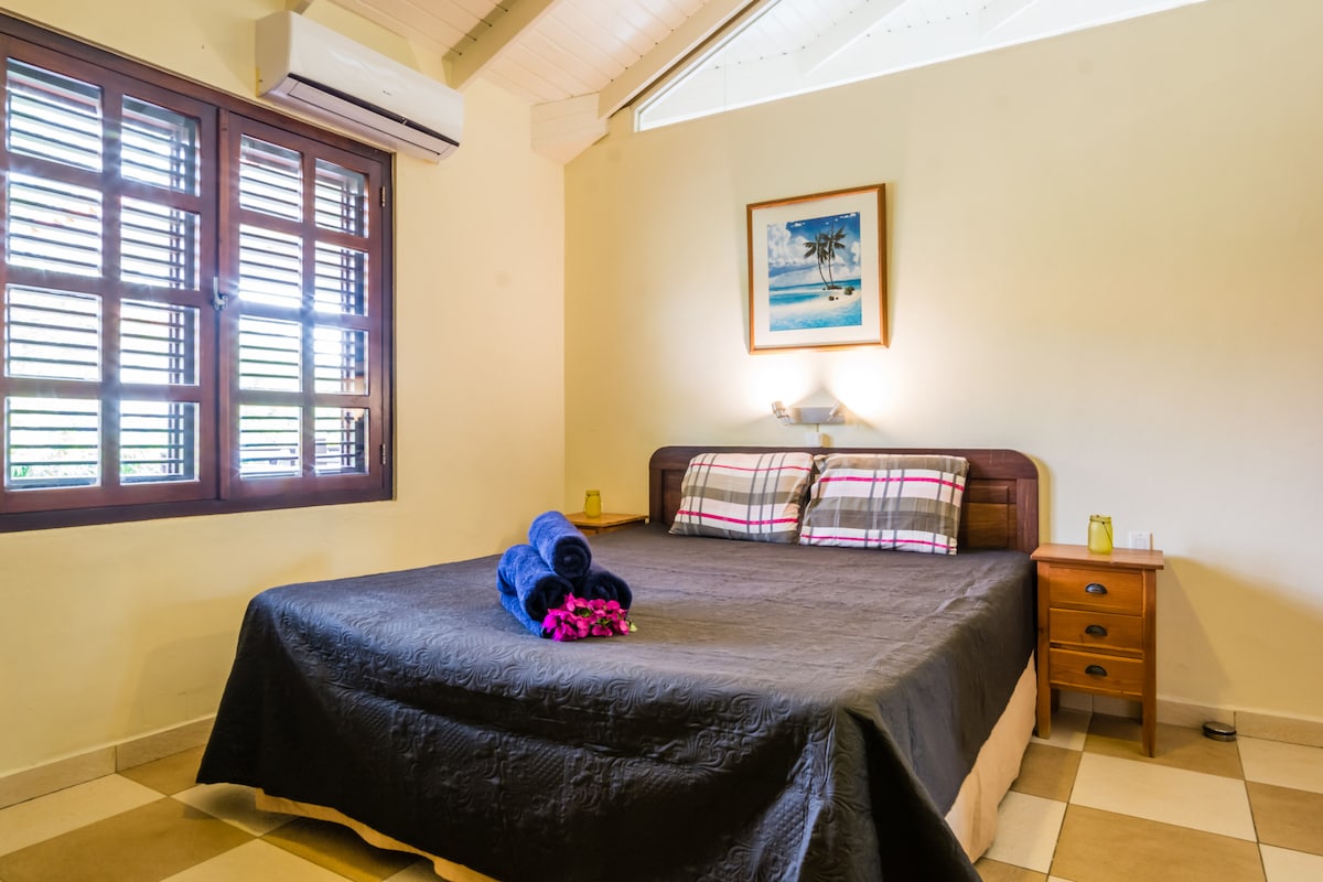 إطلالة عامة على الجناح الرئيسي