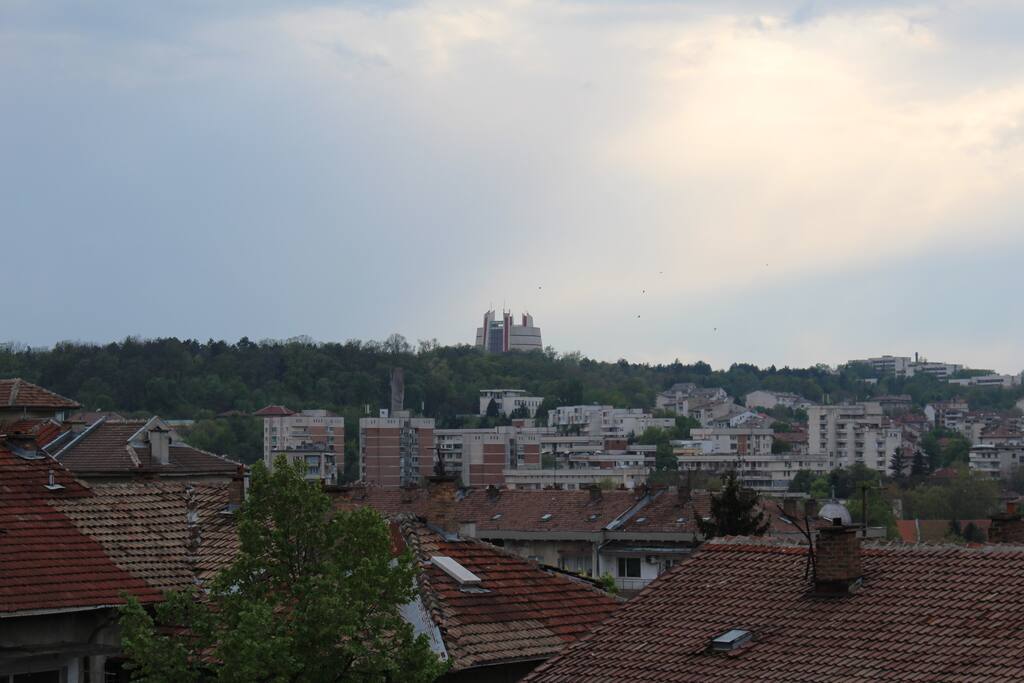 View from terrace