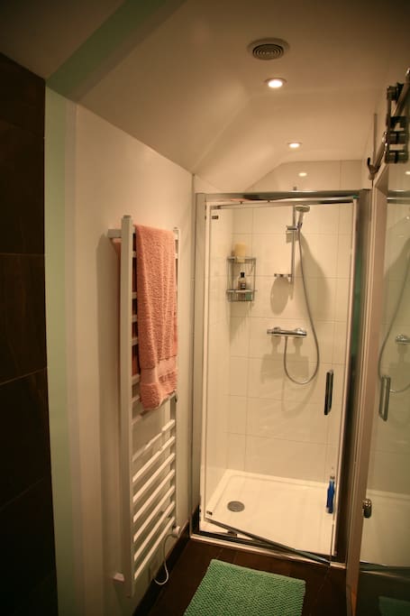 Blue room's ensuite shower