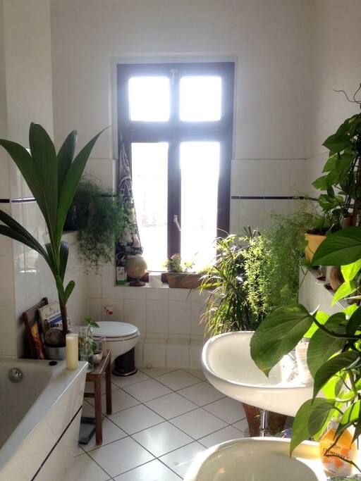badezimmer/ bathroom