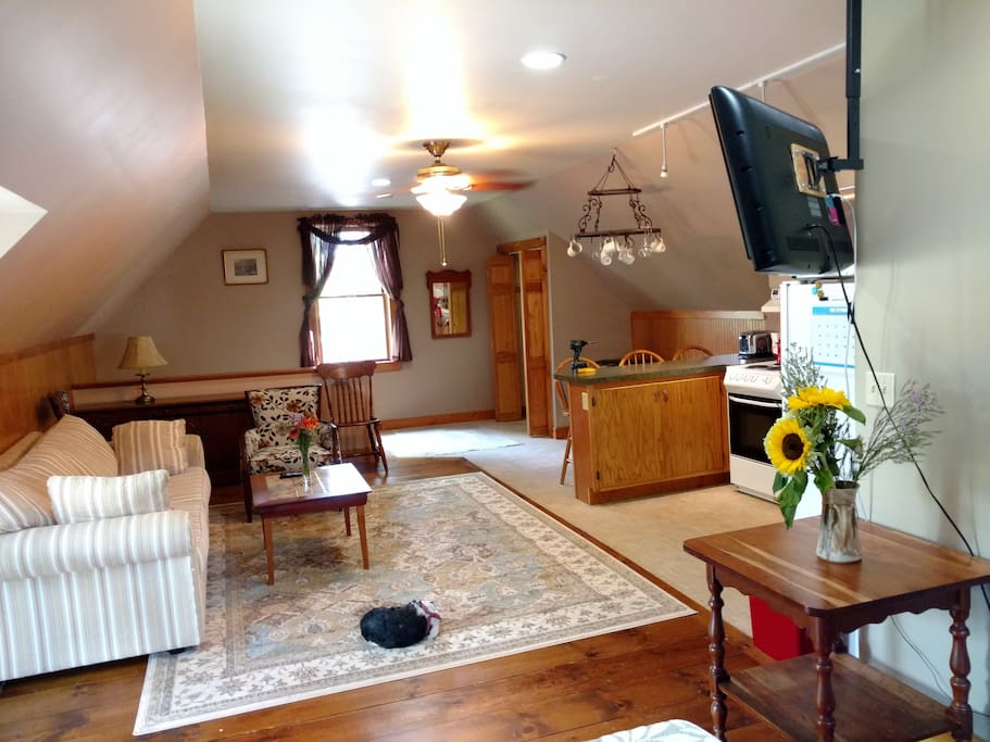 Spacious studio apartment above garage/workshop