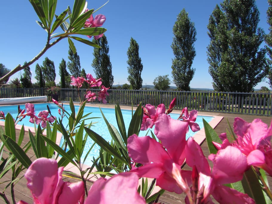 La piscine de la propriété