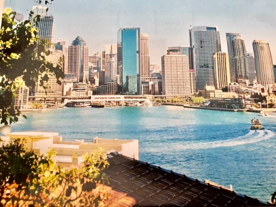 Circular Quay from the garden
