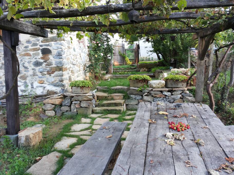 Yard / Fuori casa