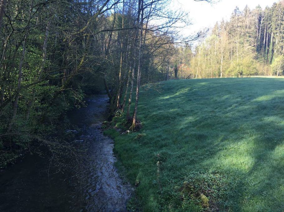 Naturbach am Haus - Little creek