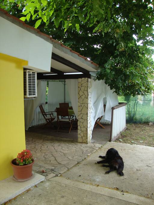 Gazebo privacy
