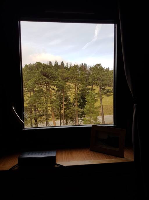 la vue sur la montagne
