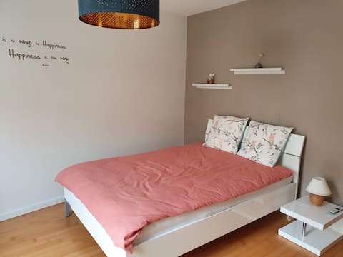 Separate entrance and bathroom., CFF, 3 min walk to city center