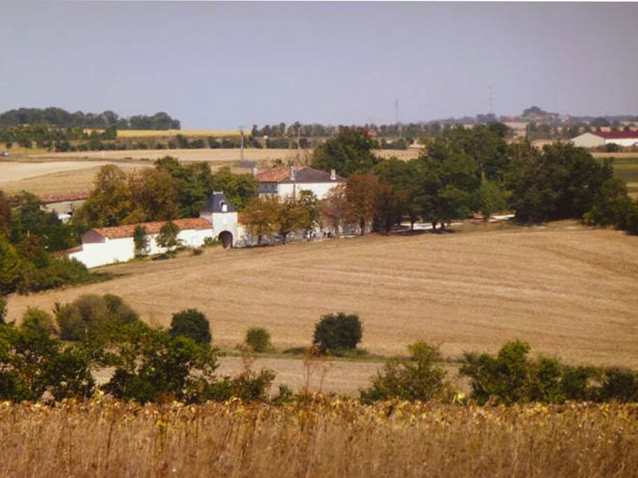 A view of the house