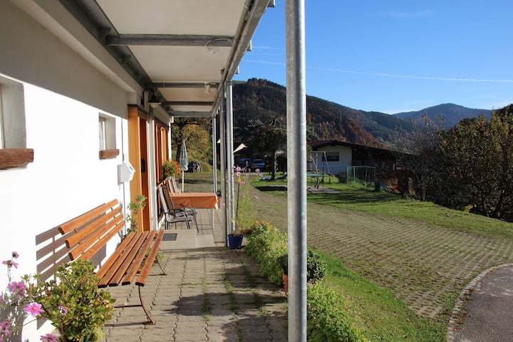 Apartment sun view Todtnau - Cozy traditional black forest family apartment with private BBQ terrace and dish washer