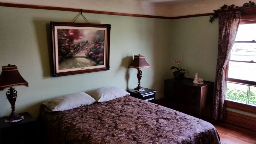 1895 Historic Victorian home-Green Room