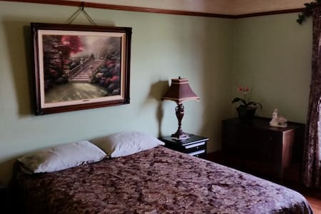 1895 Historic Victorian home-Green Room