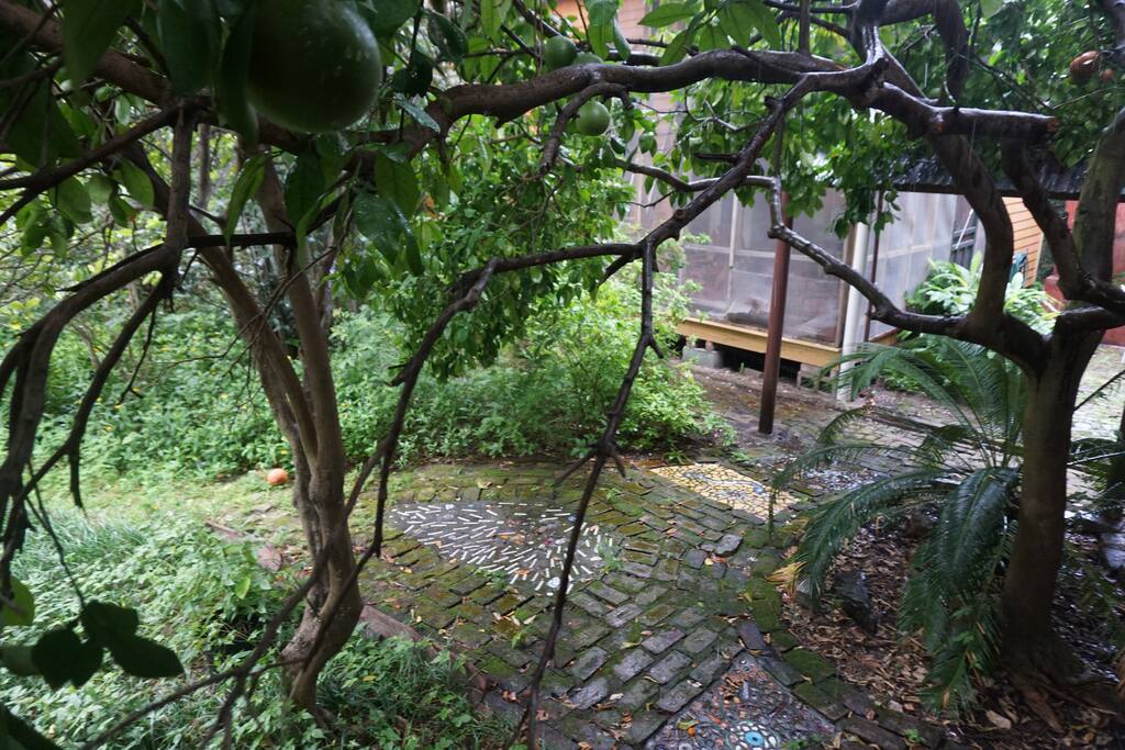 back yard