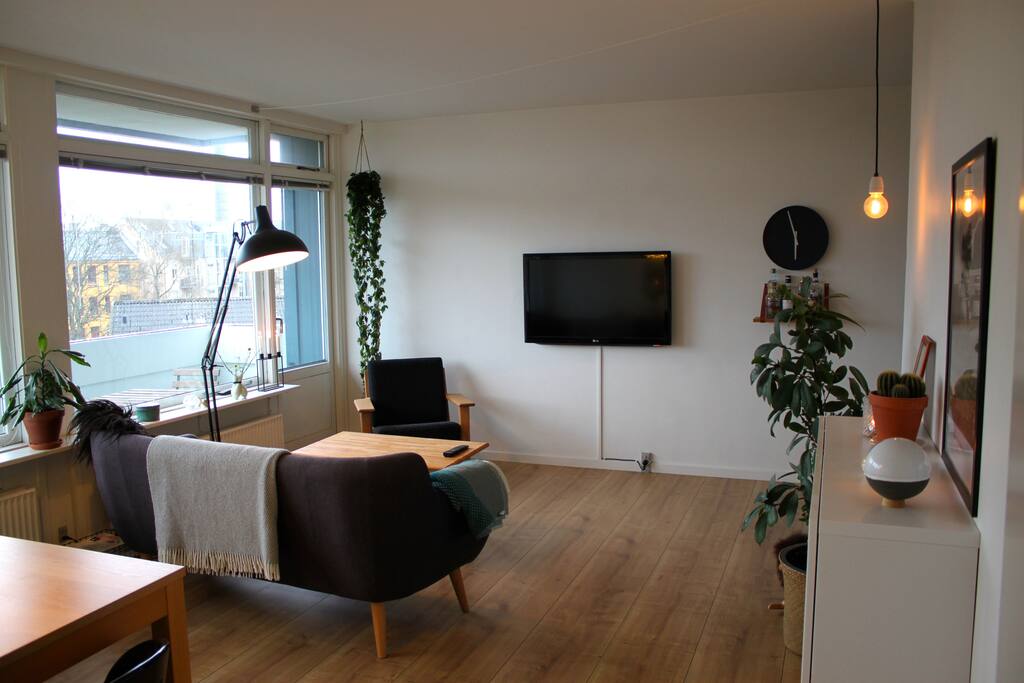 Spacious living room with couch and tv facilities