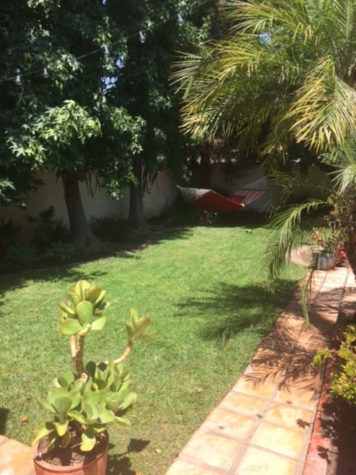 garden