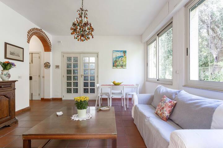 APARTMENT IN THE CENTER