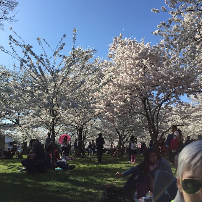 DC is just a short drive or Metro ride away