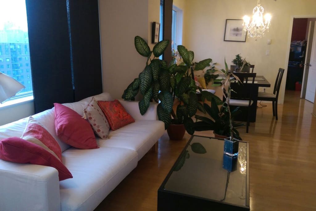 Living room & dining room.
