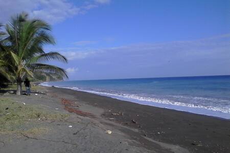 Chucky's Ital Villa #1 - Wake up and live!