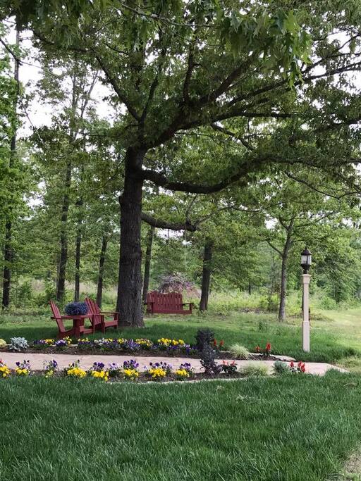 Swing under our oak tree in the late afternoon shade
