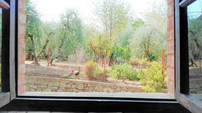 Stone house with crow