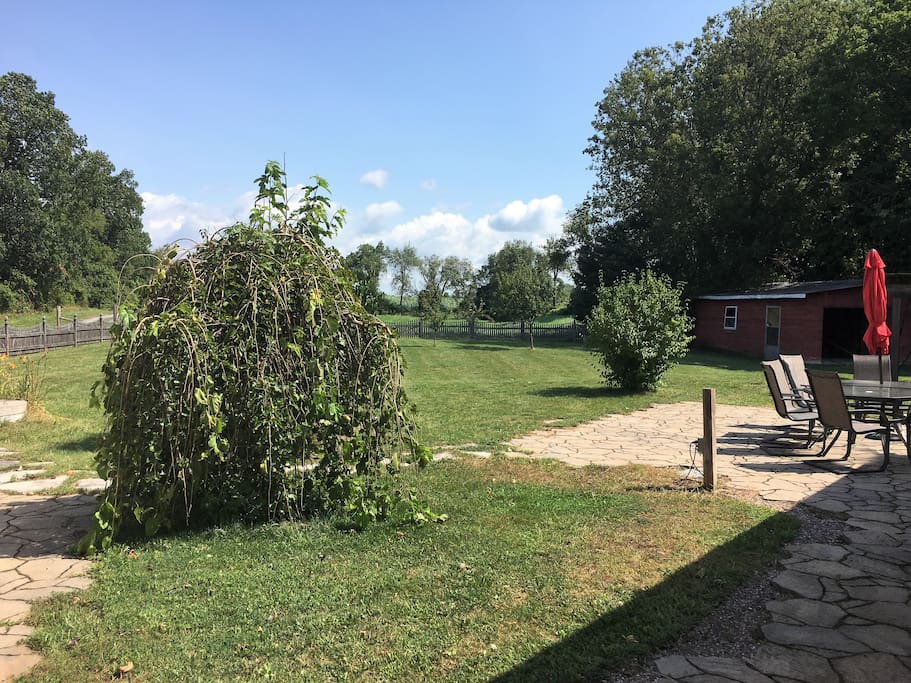 Large garden to enjoy