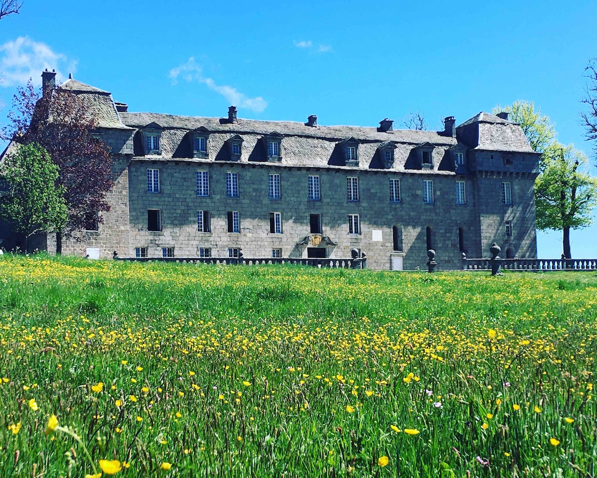A historic stone building features a slate roof and multiple windows, set against a vibrant green meadow filled with yellow wildflowers. The structure is framed by trees under a clear blue sky, providing a picturesque backdrop to the surrounding landscape.