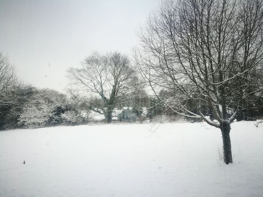 View from the kitchen during the snow