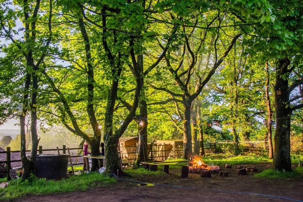 Fire pit seating area over looking Wye Valley can be found in our oak copse complete with barbecue area and hammock.